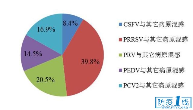 D2  iĻϸȾry(tng)Ӌ